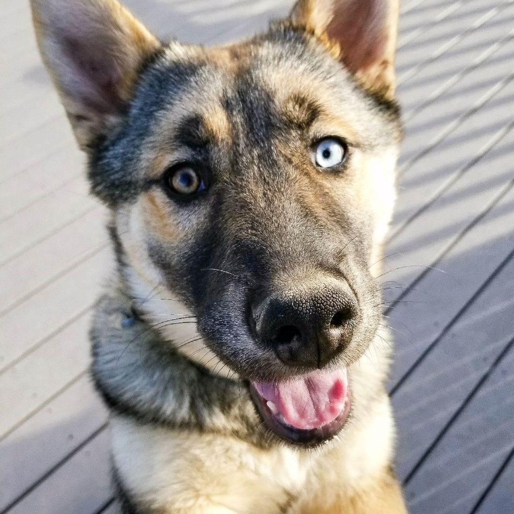 Meet your Posher, Tressa